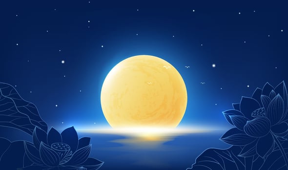 Moon over water with lotus flowers vector
