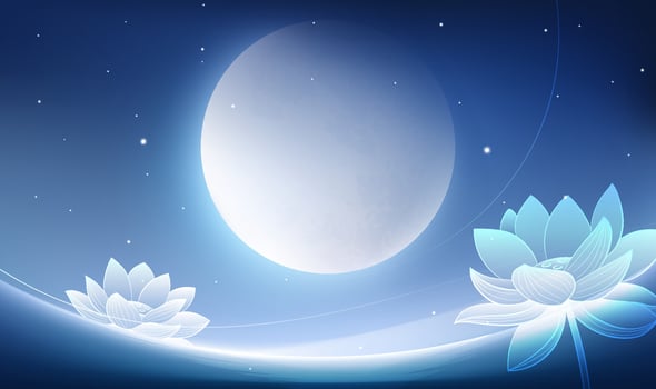 Lotus flowers under a full moon vector