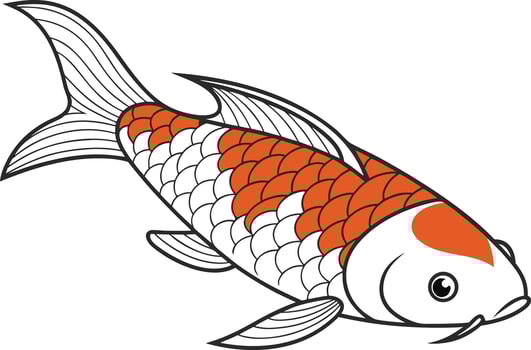 Detailed Realistic Koi Fish Design for Creative Projects vector