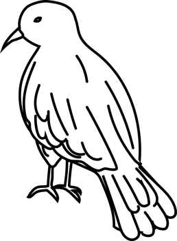 Cute Halloween Crow Bird Line Art Illustration png