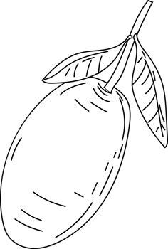 Realistic olive fruit with leaves black and white png