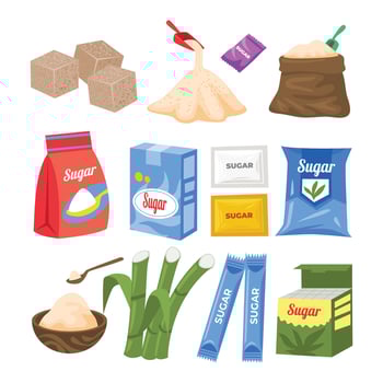 Various types of sugar products and sweeteners vector