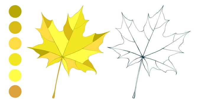 Hand-drawn yellow autumn colored maple leaf isolated on white background. Flat and line style illustration. vector