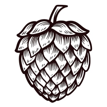Detailed hand drawn ink illustration of a hop cone isolated on white background for botanical or brewing design vector