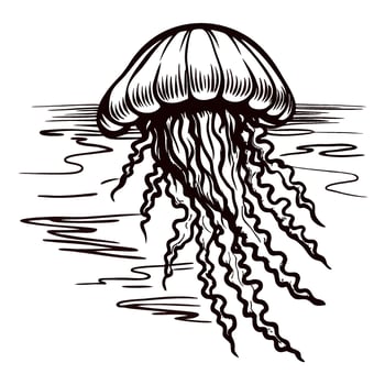 Hand drawn jellyfish swimming in water, vintage marine illustration, wavy tentacles, black and white ink sketch vector