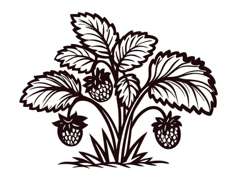 Detailed vintage berry bush illustration with leaves and ripe fruits in engraving art vector