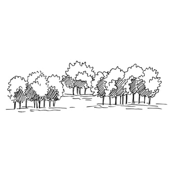 Nature illustration with forest. Using for travel and nature background and card vector