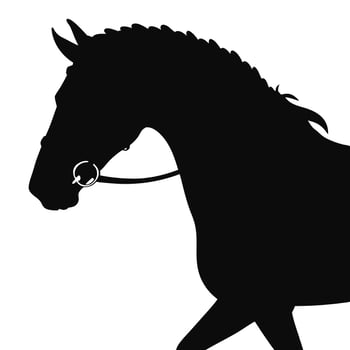 silhouette of a horse with a bridle on its head vector