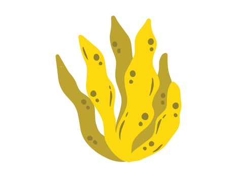 Seaweed Underwater Plant background vector