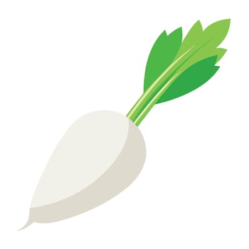 A white radish with green leaves on it vector