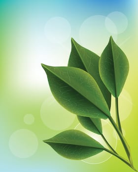 Realistic 3D Tea Green Leaves Illustration vector