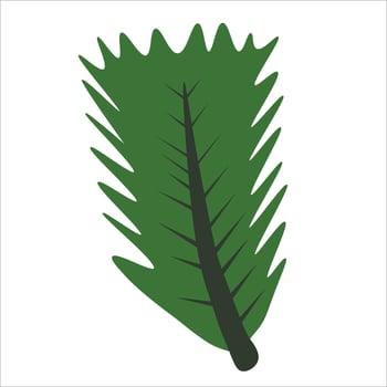 Green leaves palm leaves spring element illustration vector