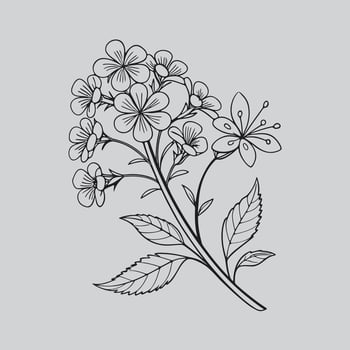 Clean Linework Botanical Art vector