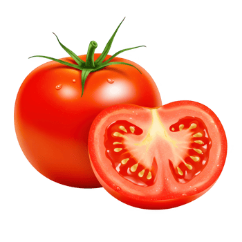 Tomato, Vegetable, Food, Healthy, Diet, Isolated on Transparent Background png