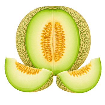 Melon, Fruit, Healthy, Food, Juicy, Summer, Isolated on Transparent Background png