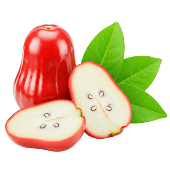 Wax Apple, Bell Fruit, Tropical, Food, Healthy, Isolated on Transparent Background png