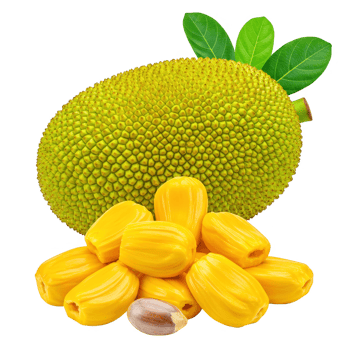 Jackfruit, Fruit, Tropical, Vegan, Ripe, Food Collection png