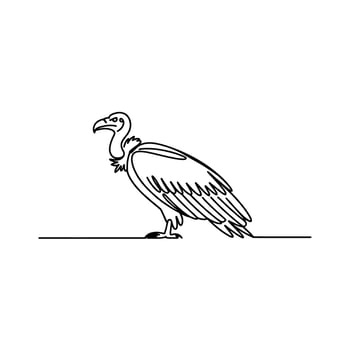 Single Line Drawing of a Vulture Standing on the Ground Minimalist Black and White vector