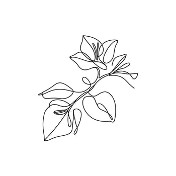 Elegant Single Line Drawing of a Bougainvillea Branch A minimalist botanical artwork capturing simplicity and natural beauty vector