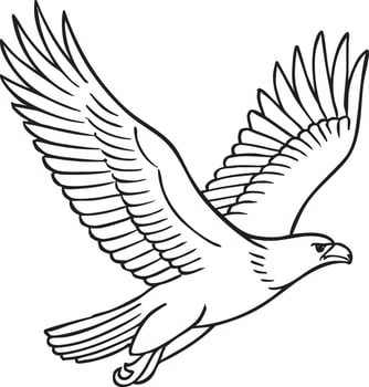 Flying eagle line art illustration vector