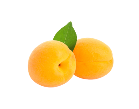 Two fresh ripe orange apricots with a single vibrant green leaf and smooth skin. png
