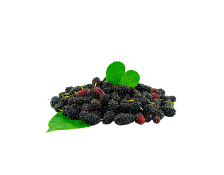 A fresh pile of ripe black and red mulberries with vibrant green leaves. png