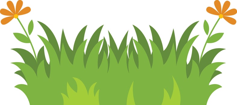 Grass Border Element. Green Lawn vector