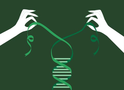 Anchestry Knit Illustration vector