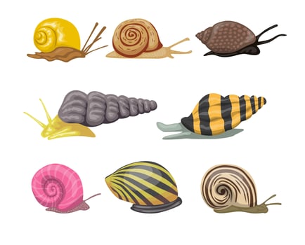 Illustration of various colorful snails vector