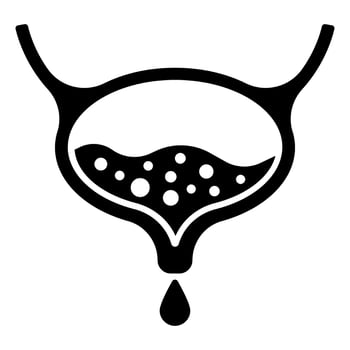 Line style icon related to internal organ, bladder illustration vector