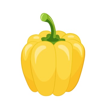 yellow sweet bell pepper, paprika, isolated on white background vector