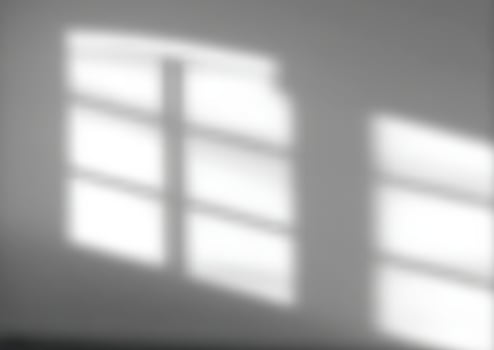 Shadows on a wall from a window vector