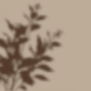 Background with a defocussed plant shadow overlay vector