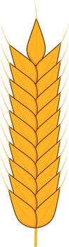 wheat symbol ideal for Oktoberfest beer ads, organic farming logos, harvest events, and food product packaging. vector