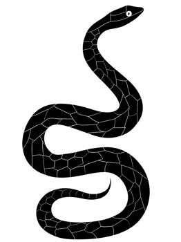 Black snake isolate on transparent background png