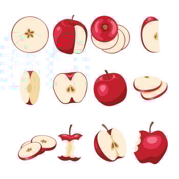 Red apple illustrations and slices vector