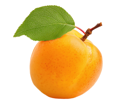 Fresh ripe apricot with green leaf isolated on a transparent background png