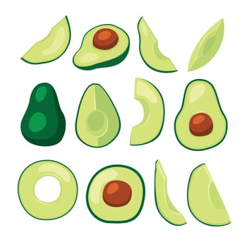 Colorful avocado cutouts and slices vector