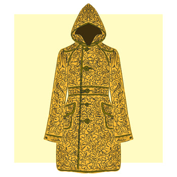 a coat with a hood and a golden pattern vector