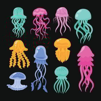 Colorful jellyfish cartoon illustration vector