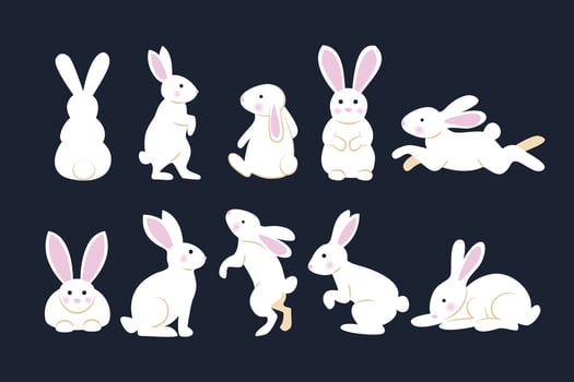 Illustration of various white rabbits vector