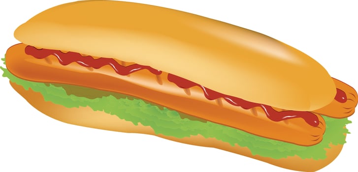 Hot dog with lettuce and ketchup in a soft bun vector