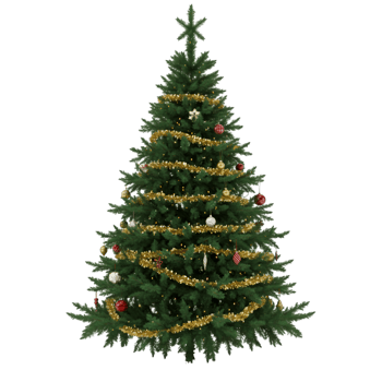 Christmas tree green needles and traditional holiday decoration png