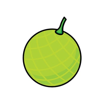 green melon illustration vector