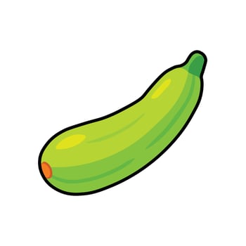 Green zucchini vegetable illustration vector
