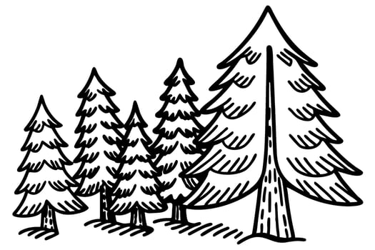 Hand drawn evergreen trees group stylized pine forest, simple black and white nature woodland illustration vector