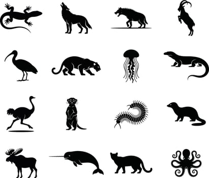 Collection of various animal silhouettes including wolf leopard ostrich octopus narwhal and many other creatures vector