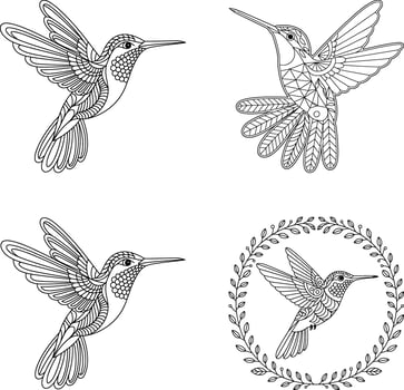 Intricate illustrations featuring graceful hummingbirds in various flight poses and floral wreath element designs vector