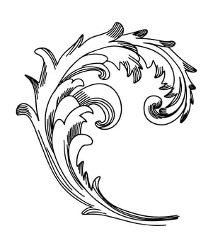 Fragment of Baroque stucco vector