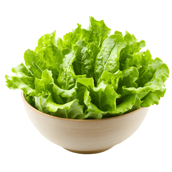 Fresh green lettuce leaves in a bowl isolated on transparent background png